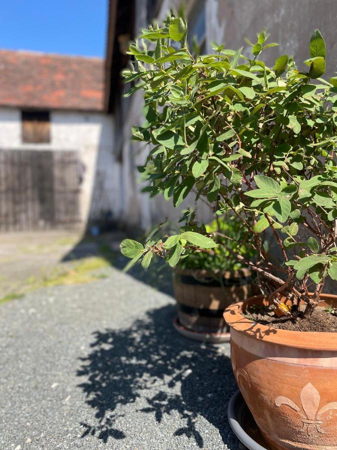 Apartamento Schnaid im Glück Hallerndorf Exterior foto